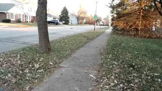 Invictus 10MT Street Run