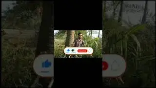 #short #shorts Dumb Blind Deaf Comedy Video | Jungle Tour | Funny video