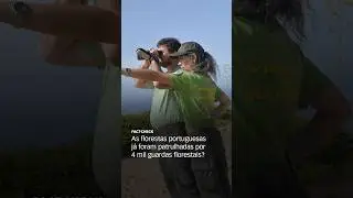 Fact Check. As florestas portuguesas j&aacute; foram patrulhadas por 4 mil guardas florestais?