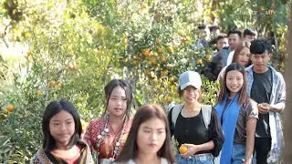 Semnak Lungding || Phuah - Kio Hmung