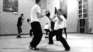 Pistol Squats Wing Chun