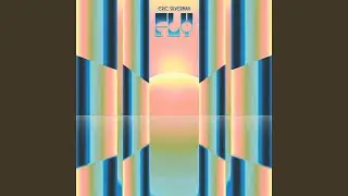 Fly