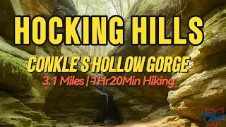 Hocking Hills Conkle's Hollow Gorge East and West Rim Trail #travel #hiking #ohio #nature #outdoor