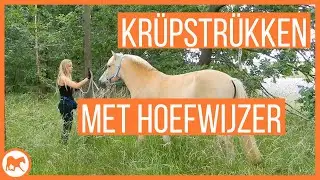 Wat is Krüpstrükken?