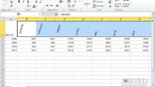 Using Excel 2010 - Rotate Text Within a Cell