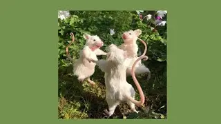 Летний Мини Плейлист 💓