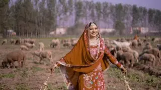 Pooja weds Vinod [Punjabi Wedding highlights ]Mob 94781-77774 