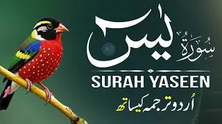 Surah Yaseen with Urdu Translation | Beautiful Recitation by Qari Mansoor Ghaznavi | Ep006