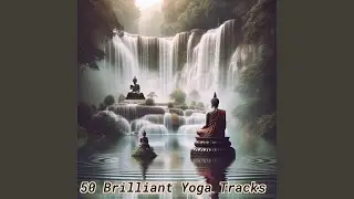 Accumulate Wisdom