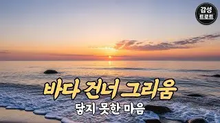 🌊 바다 건너 그리움 | 감성트로트 | 닿지 못한 마음 | SoranPink #16-4