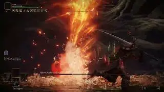 Elden Ring SotE - Bonking Malenia with Overhead Stance [Solo,NoDmg,RL1]