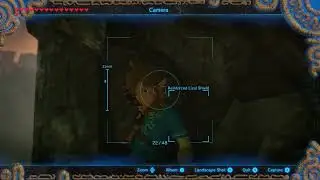 So i found this glitch in botw that removes links cell shading