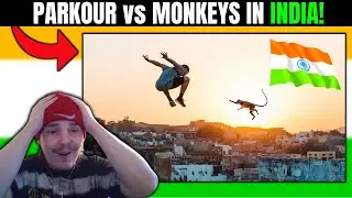 Australian Reacts To PARKOUR vs MONKEYS In INDIA! 🇮🇳