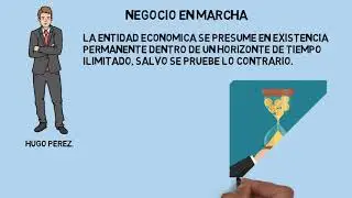 POSTULADOS BASICOS NIF