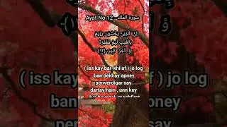 Quran In Roman Urdu/Hindi #quran #shorts #islamicshorts #hindi #islamic