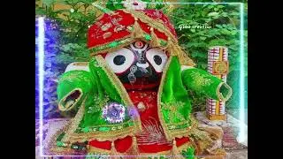 tora kana re purichi thala.. odia jaganath Bhajan hd WhatsApp video status song..
