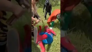 Spidey loses the fight&hellip; #spiderman #meme #funny #parody #marvel #memes #comedy #spiderverse #morbius
