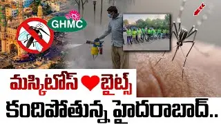 Hyderabad Mosquito Menace | GHMC Fogging Scam? | Dengue Danger | The4thestate