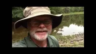 Hunting Spiders in West Michigan's Woods    Part 1