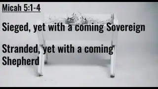 Shepherd and King | Micah 5:1-4 | Stephen Baker