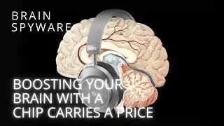 The Cybersecurity Risk of Brain-Computer Interfaces and Neuroware 