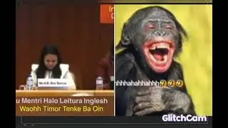 Komik timor