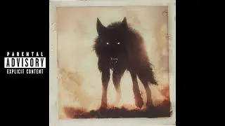 Wolf in black
