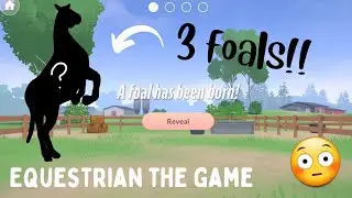 BREEDING 3 MORE FOALS IN EQUESTRIAN THE GAME!!
