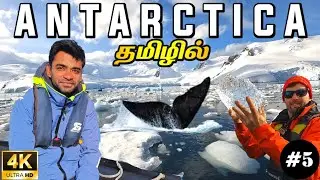 🐋அண்டார்டிகா அதிசயங்கள் |4K Antarctica EP5 | World Tour S4