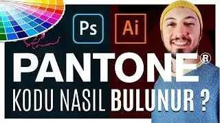 Pantone Renk Kodu Nasıl Bulunur? Adobe  İllustrator ve Photoshop