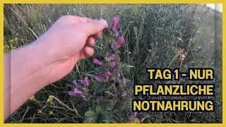 4 Tage Outdoor-Abenteuer nur mit pflanzlicher und tierischer Notnahrung - Tag 1