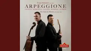 Divertimento on Austrian Folksongs, Op. 46