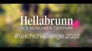 #teichchallenge 2022 Tierpark Hellabrunn