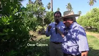 AgroScience | Nutrici&oacute;n de Alto Rendimiento en Lim&oacute;n
