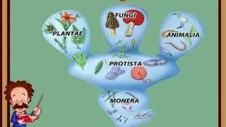 Plus One biology improvement Botany biological classification -with previous questions