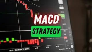 BEST MACD Trading Strategy