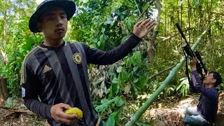 Jungle Bird Hunt with  AIR GUN!