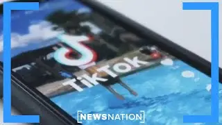 Supreme Court upholds TikTok ban | NewsNation Live