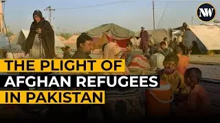 Public Opinion Clash: Afghan Deportations vs. Constitutional Values