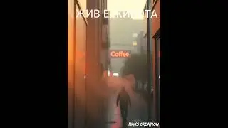 ЖИВ Е ЖИВОТА