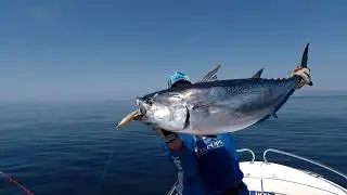Off-shore with Aomasa
