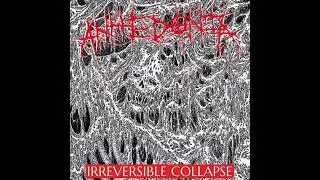 Anhedonia - Irreversible Collapse [2024]