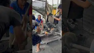 palm oil harvesting tool making techniques  #blacksmith #traditionalcraft #handmade