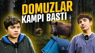 Belgrad'da 1 Gece | Bizim Dünyamız