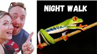 NIGHT WALK LA FORTUNA - Costa Rica Part 5