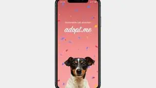Pet Adoption App Login