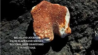 BIG ISLAND JOURNEY FROM BLACK SAND SHORES TO CORAL REEF GRAVEYARD & SUNSET SAIL