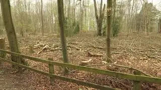 Norbury park