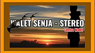 SP WALET SENJA CWS STEREO   TEKNIK 2 SUARA DALAM 1 FLASHDISK