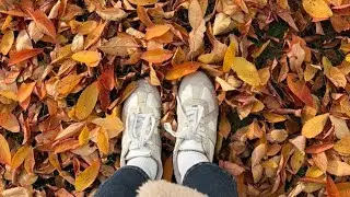 🇩🇪수민_일기22ㅣ수민주합체ㅣ가을 독일🧡